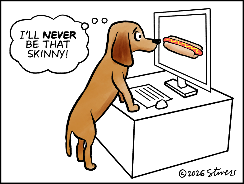 Dachshund on social media